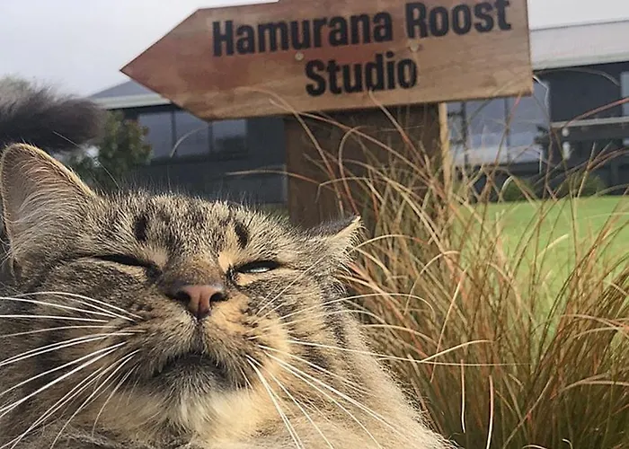 Hamurana Roost 住宿加早餐酒店 罗托鲁阿
